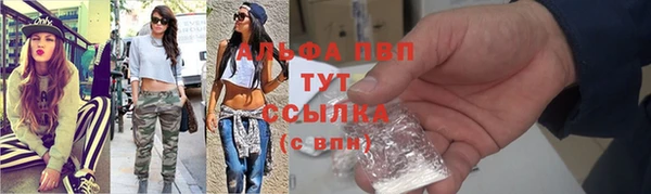СК Болохово