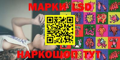 МДПВ Кингисепп