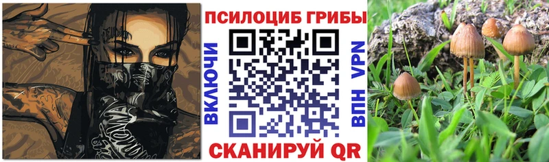 где найти наркотики  Куйбышев  Псилоцибиновые грибы Psilocybine cubensis 