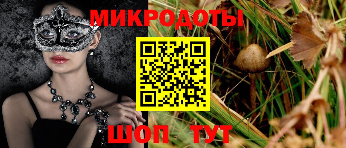 Галлюциногенные грибы Psilocybe  купить закладку  Куйбышев  Вход с VPN  Галлюциногенные грибы прущие грибы 