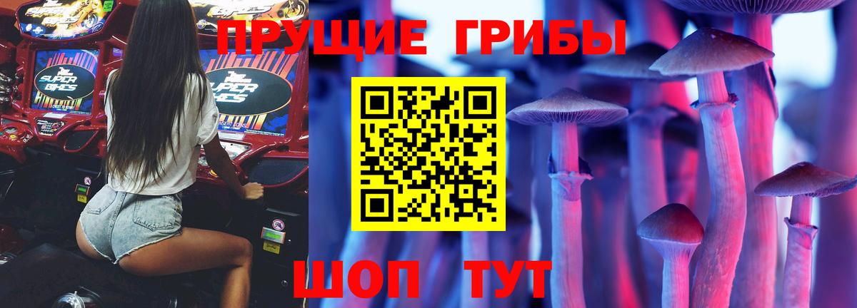 Псилоцибиновые грибы Magic Shrooms Куйбышев
